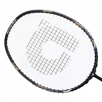 Apacs Z Power 900 RP+ Lite Black